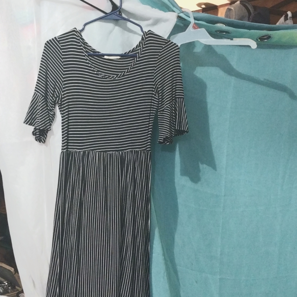 Black and white striped forever rose sm